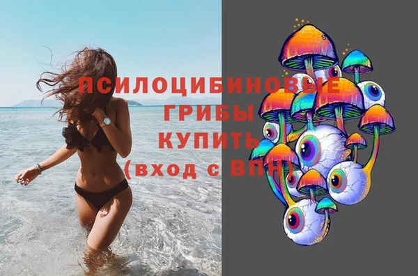 наркотики Бородино
