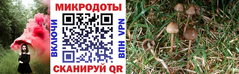 Псилоцибиновые грибы Magic Shrooms  даркнет сайт  Сосногорск 
